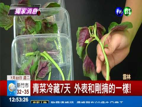 溫水滅菌保存青菜 冷藏7天仍新鮮