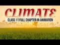 Climate Class 11 Geography Chapter 4 In One Shot Full Chapter In Animation AakashY9