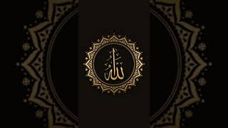 Download lagu Allah ♥️ muhamad salalahu aalehi wasallam 💚🕋🤲🕋 mp3