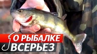 О рыбалке всерьез ловля окуня спиннингом