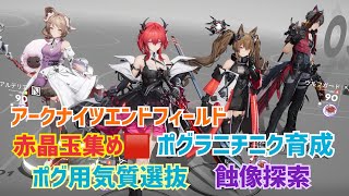 【女性実況…アークナイツエンドフィールド】赤石集め etc...【ウルフ推しの管理人】