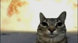 Download lagu Dochi Sadega - The Night I Ruined Your Life mp3