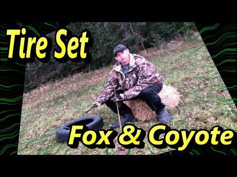 Tire Set for Fox & Coyote, Quick and Easy. Detailed Demo