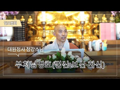 부처님명호(법신·보신·화신)에 대해(대원정사 주지 청강스님)