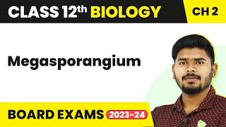 Megasporangium - Sexual Reproduction in Flowering Plants | Class 12 Biology (2022-23)