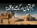 Hakeem Luqman Kaun The Haqeem Luqman Aur Gadhay Ka Qissa Quranic Story Almufeed Islamic