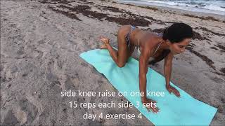 Day 4 Exercise 4 Side Knee Raise on Hands and Knee