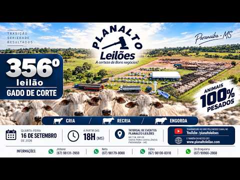 16/09/2026 356º Leilão Gado de Corte em Paranaíba -MS Planalto Leilões
