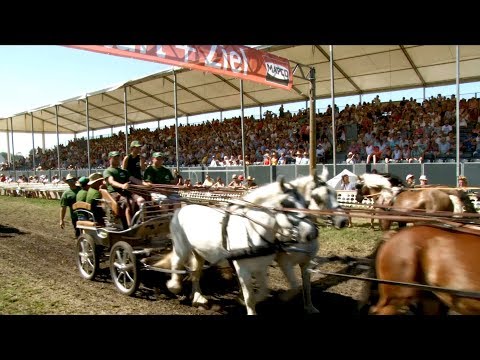 BRÜCK | EIN LETZTES MAL TITANEN DER RENNBAHN