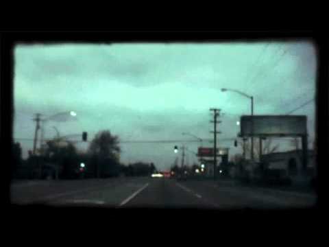 Fierce Creatures - The Great White