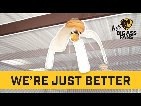 Is a Big Ass fan that much better than a regular fan?