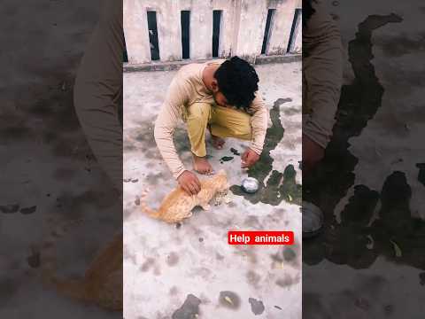 Neon blade  #youtube #viral #status #paramjeet #youtubeshorts #indian #shorts #help #Paramjeet 2023