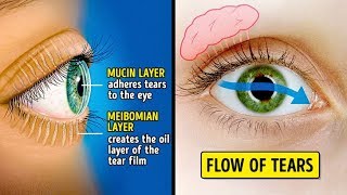 I Had Dry Eyes, Then My Doctor Recommended To Cry More Often