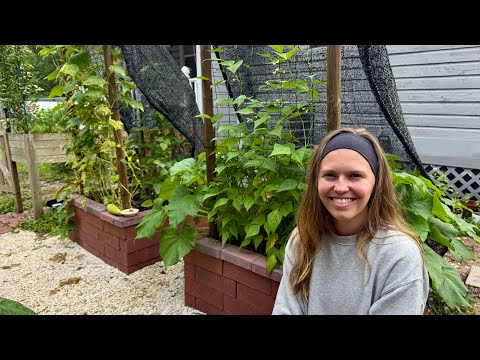 Our Organic Florida Garden is BIG!