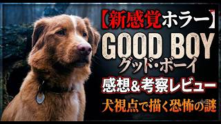 新作映画【グッド・ボーイ／GOOD BOY】感想と考察レビュー！後半ネタバレあり！インディは天才子役犬！！
