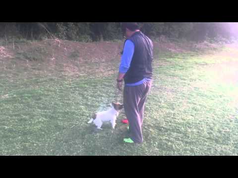 Lara on day one week and an encounter