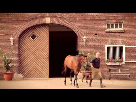 Hengststation Vornholt