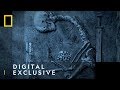 Discover A Viking Graveyard Viking Warrior Women National Geographic UK