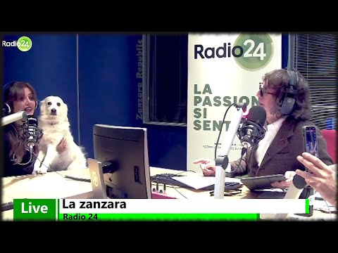 Daniela Martani col cane Ariel - La Zanzara 17.11.2022