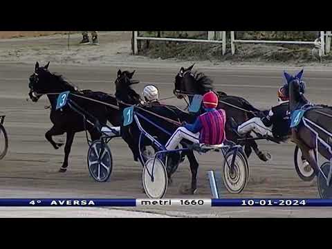 Aversa trotto 10 Gennaio 2023 - 4° Corsa