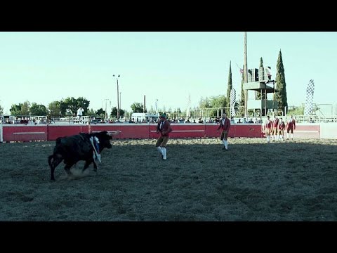 Tourada à Portuguesa na Califórnia
