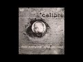 Calibre - What U Need