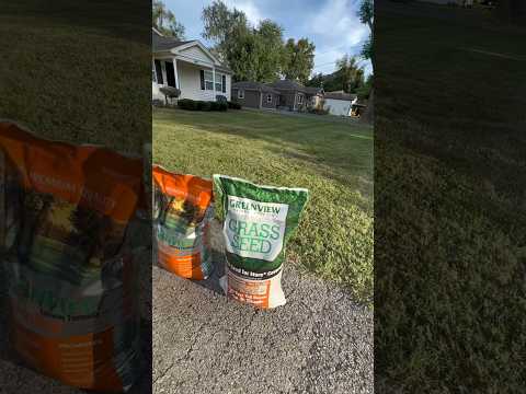 Prepare your lawn for winter and achieve your lawn goals with the help from ⁠@greenviewlawnproducts