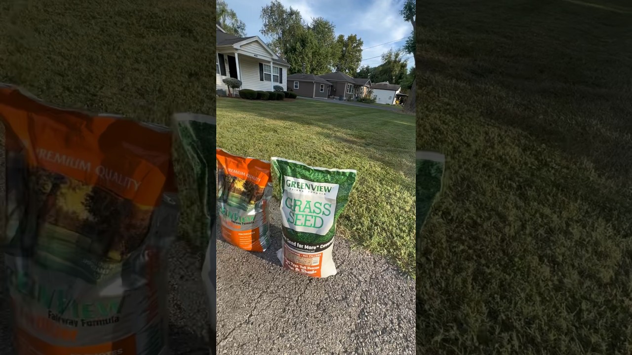 Prepare your lawn for winter and achieve your lawn goals with the help from ⁠@greenviewlawnproducts