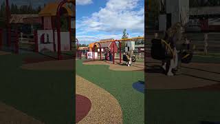 Thing to do at Fairbanks!#alaska #alaskatrip #familytravel #pioneerpark #アラスカ旅行 #フェアバンクス #パイオニアパーク