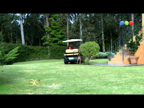 César Millán los perro de susana  - Susana Giménez