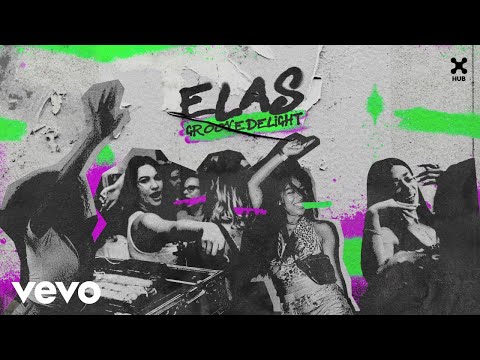 Groove Delight - ELAS (Visualizer) (Official)