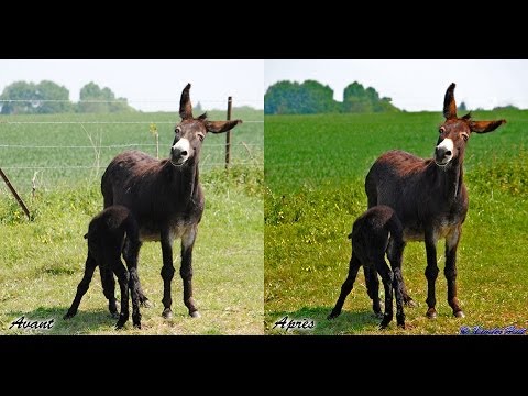 comment nettoyer une photo avec photoshop cs5