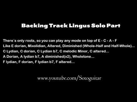 Backing Track - Snarky Puppy Lingus Solo Part 15 Minute Non-Stop