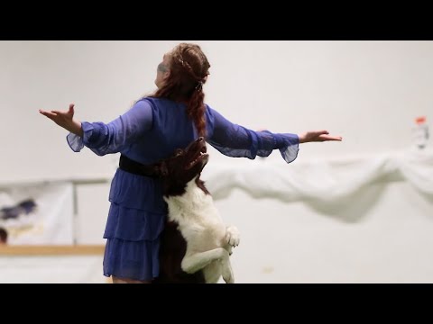 Dogdance World Championships 2023, Gabi & Hikke 🇫🇮 HTM-final