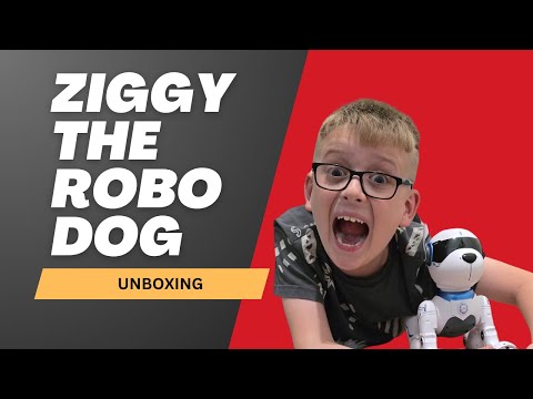 Unboxing Ziggy the Robo Dog: The Ultimate Robotic Pet?!
