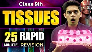 Tissues in 25 Minutes🔥| Class 9th | Rapid Revision | Prashant Kirad