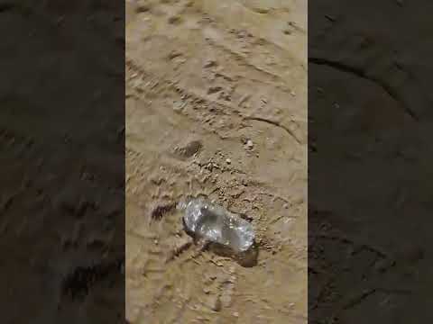 Pisando botella tirada  de plástico en el Dorado Canelones .