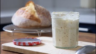 Stop Wasting Time & Flour Maintaining A Sourdough Starter. This Strategy is Way Better