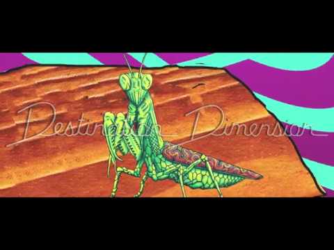 Destination Dimension - Outlander Animated Video