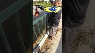 Você não vai ACREDITAR nas JÓIAS dentro desta sacola!