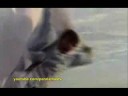 Perplexo video