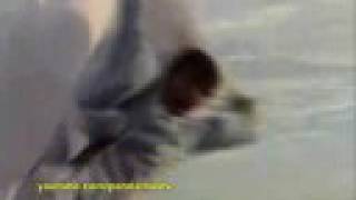 Paralamas do Sucesso - Perplexo (clipe original)