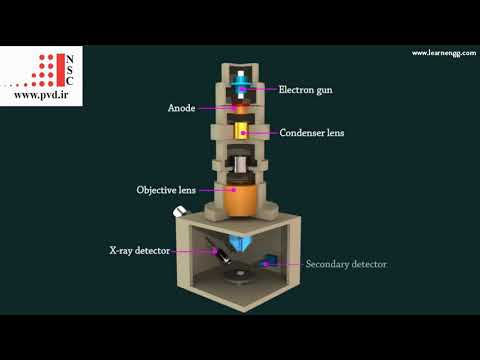 How a scanning electron microscope (SEM) works?