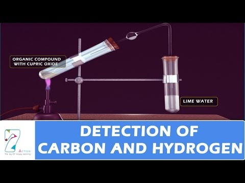 Detection of Carbon And Hydrogen