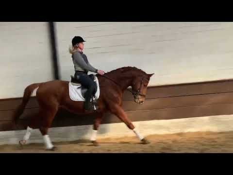 RUNIN QUINY 7j. v. Rosenstein - Quaterback VB 8.000,- Euro