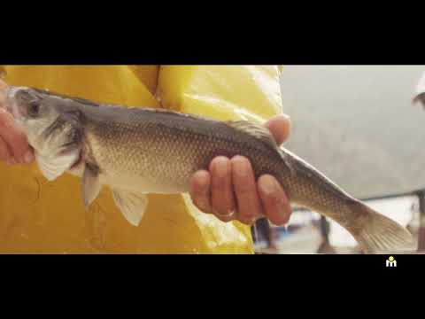 Partenariat Marjane — Sélection M