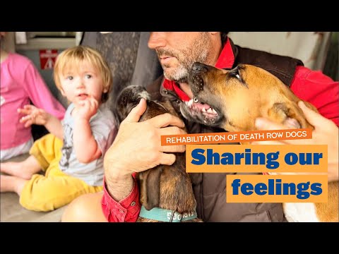 Sharing our Feelings | Rehabilitation of Death Row Dogs