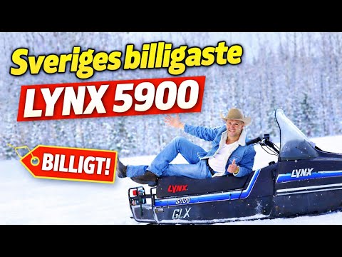 BUSKÖR COWBOYSKOTER