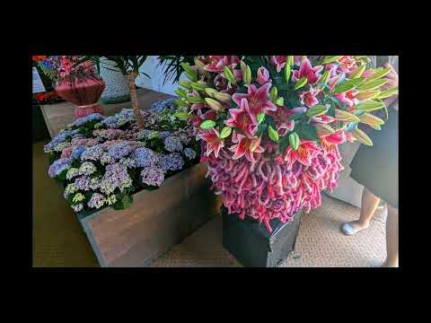 (Diashow)   Mannheim:  BUGA 2023