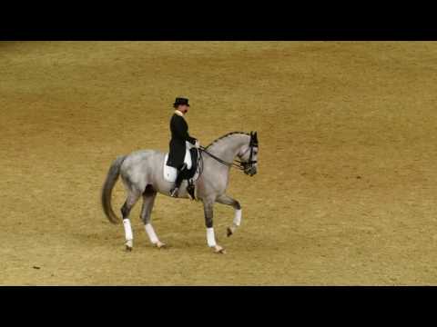 Belantis unter Isabell Werth im März 2017